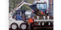 International 4130 skid steer loader preview image